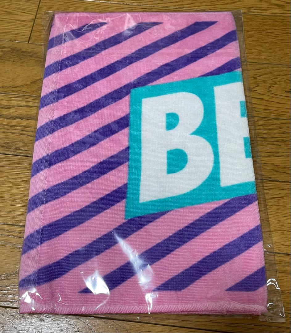 BERRY GOODMAN ベリーグッドマン　ツアーグッズ　タオル甲子園　17枚