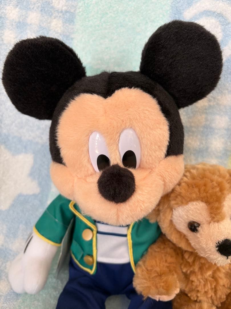 【匿名発送】TDS ダッフィーのワンダフル•ヴォヤッジ ぬいぐるみ大•小