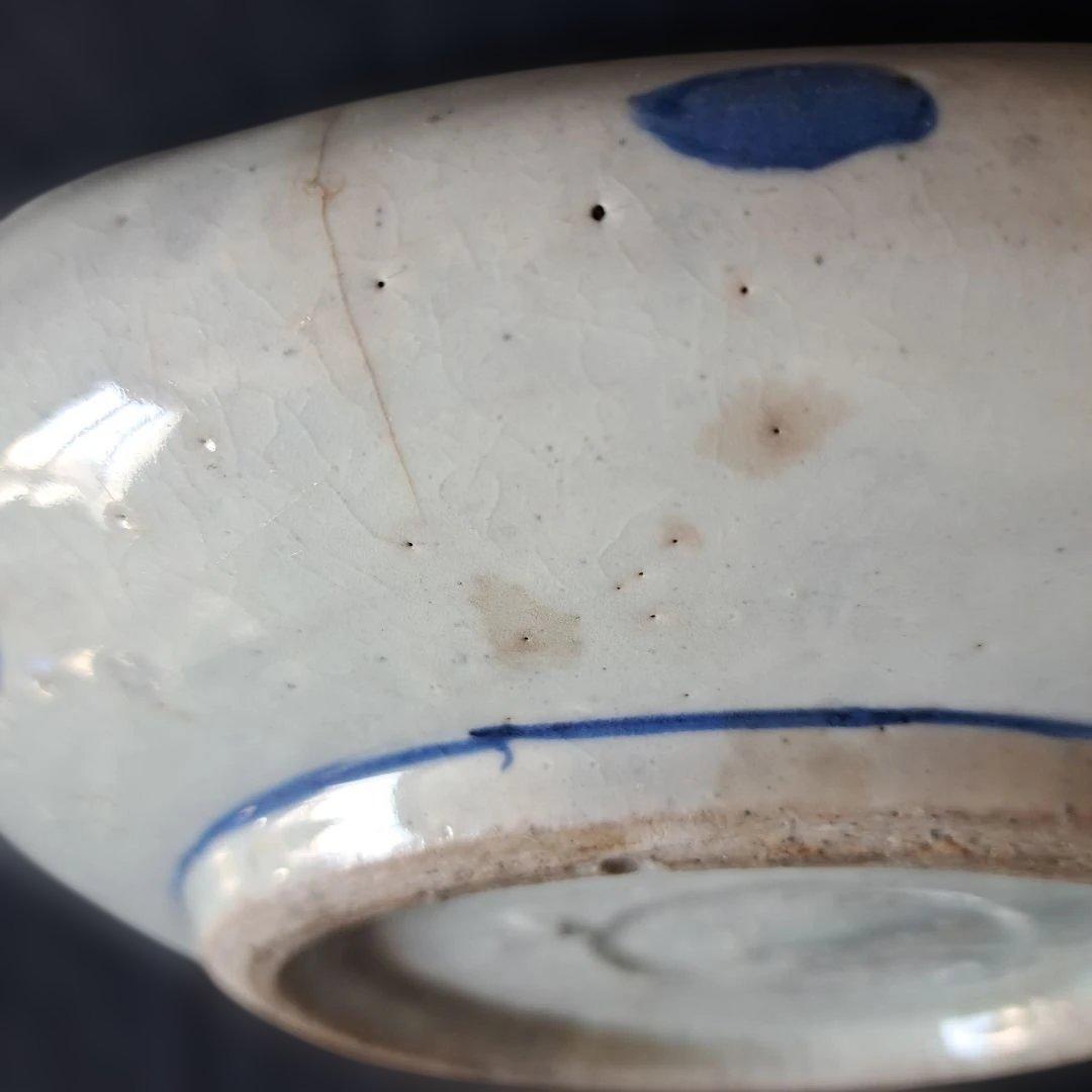 「まるで若冲(じゃくちゅう)のタッチ？！」 古伊万里染付皿(最大幅23cm) 骨