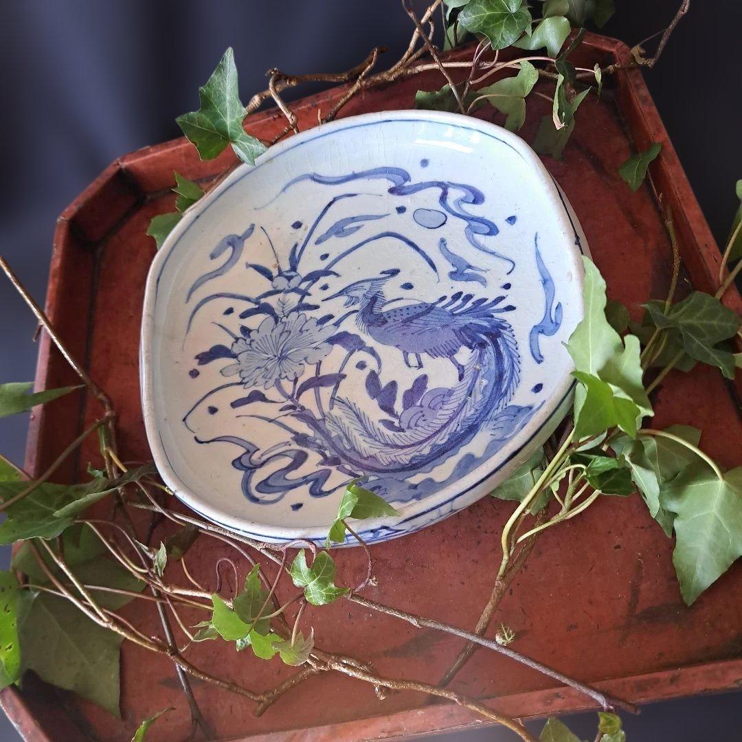 「まるで若冲(じゃくちゅう)のタッチ？！」 古伊万里染付皿(最大幅23cm) 骨