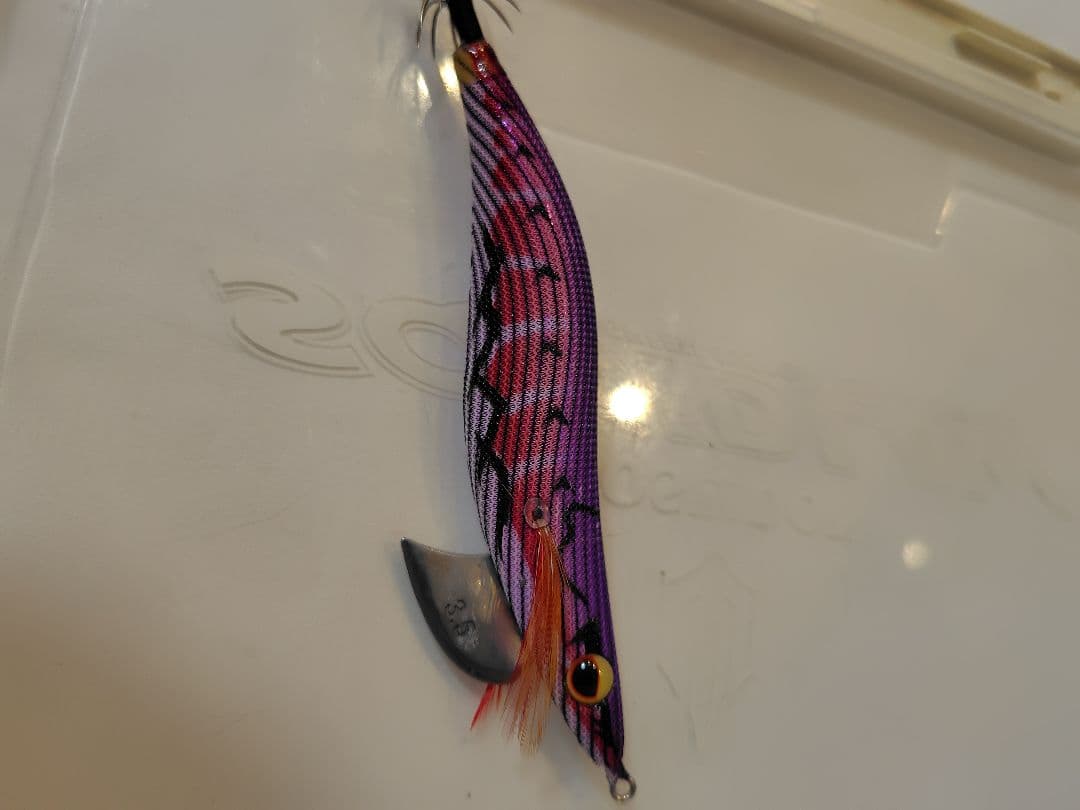 1月 限定価格⚠️‼️値下げ、エバーグリーン　エギ番長　エギング引退セット‼️