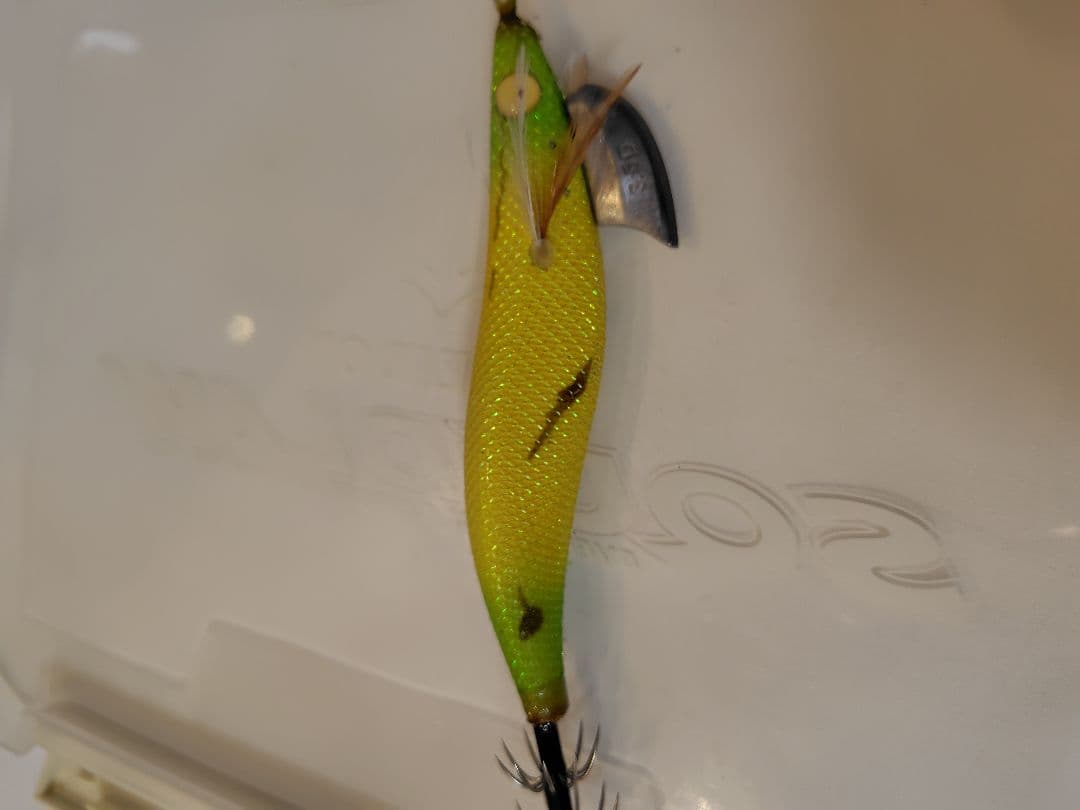 1月 限定価格⚠️‼️値下げ、エバーグリーン　エギ番長　エギング引退セット‼️