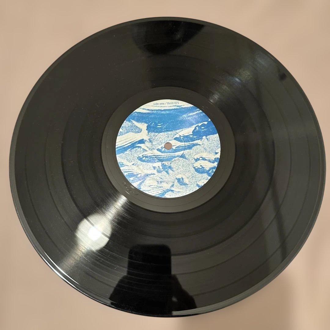 Tortoise millions now living will never…