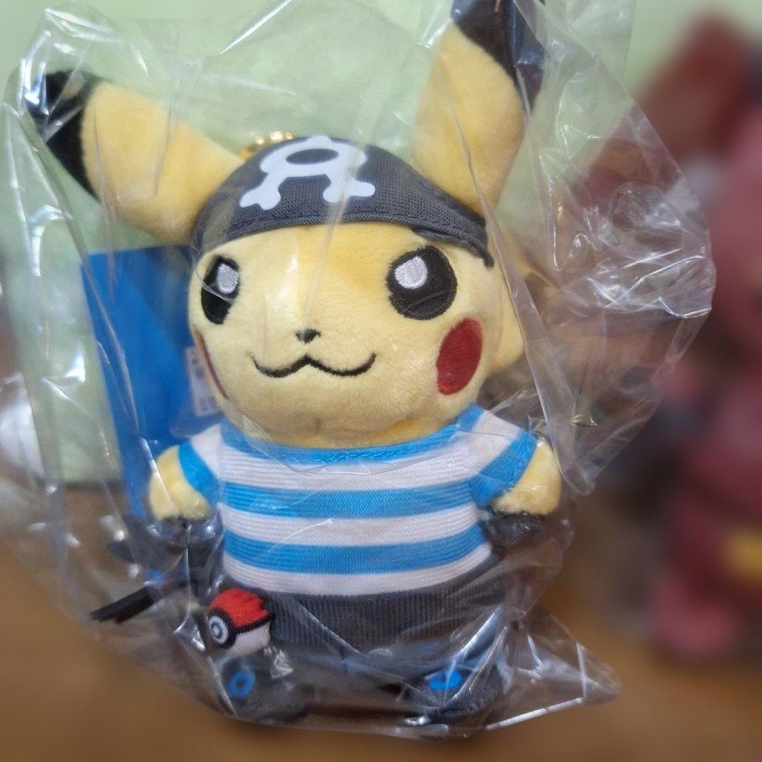 団員ごっこ　ピカチュウ　マスコット　ぬいぐるみ　アクア　マグマ　ポケモンセンター