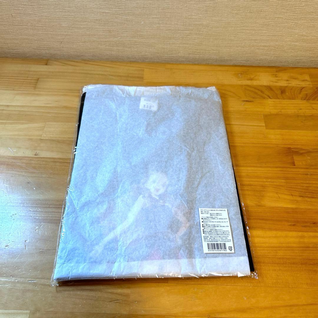 安室奈美恵　エミーナ　エミーナＴシャツ　２０２３　Ｍ　3枚セット