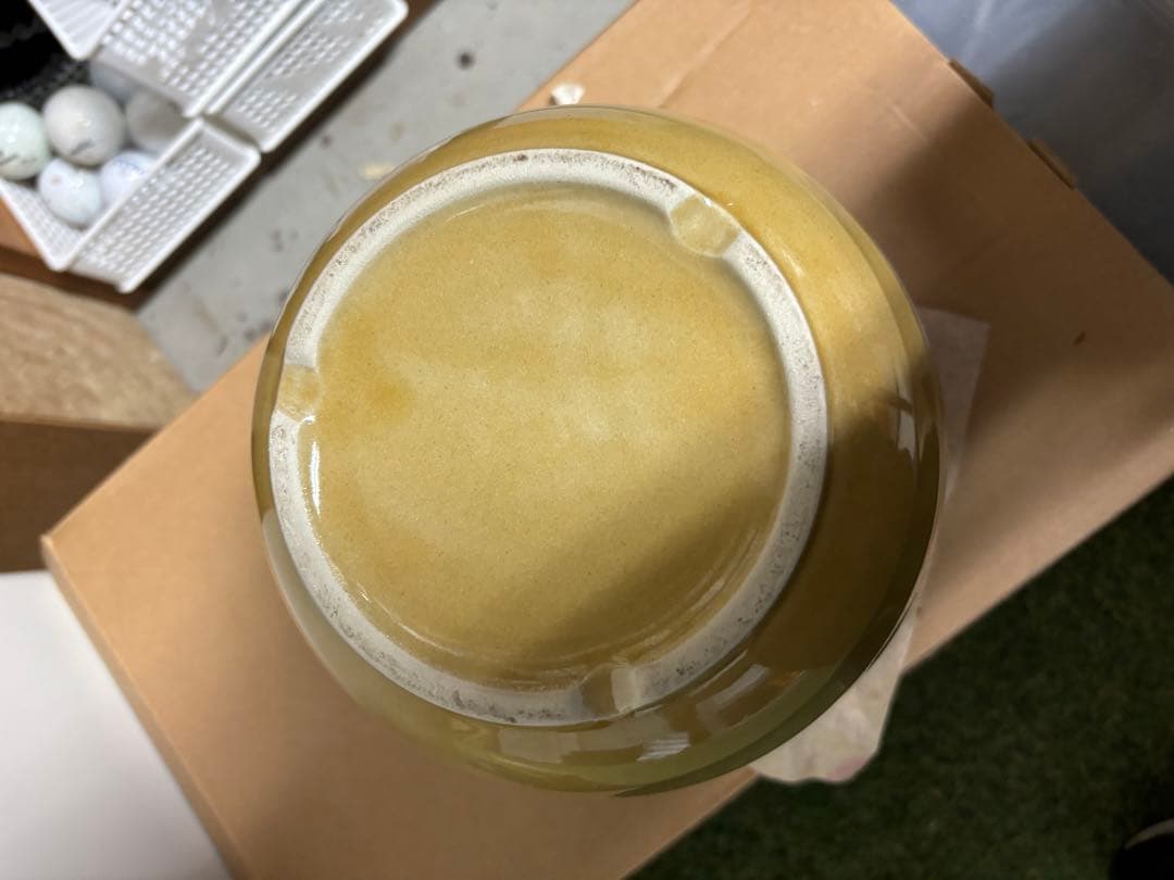 阪神タイガース 2003年優勝記念グッズ　星野仙一監督【中身無し】