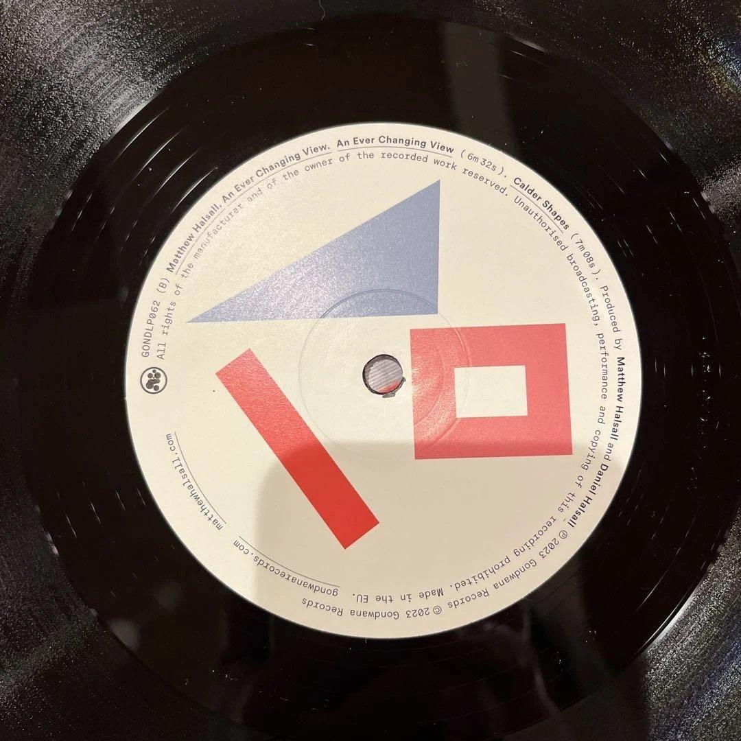 洋楽 Matthew Halsall An Ever Changing View