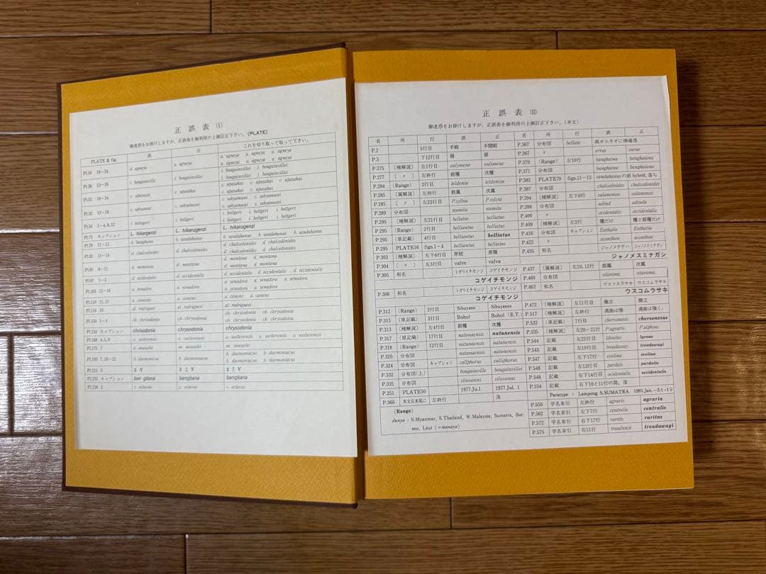 東南アジア島嶼の蝶 第5巻 タテハチョウ編(下)
