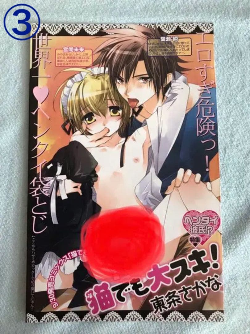 ボーイズラブ コミック雑誌特典 ペーパー小冊子