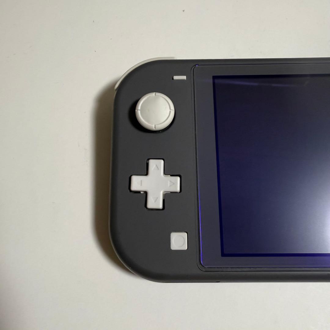 【ジャンク品】Nintendo Switch Lite グレー 本体 充電器付き