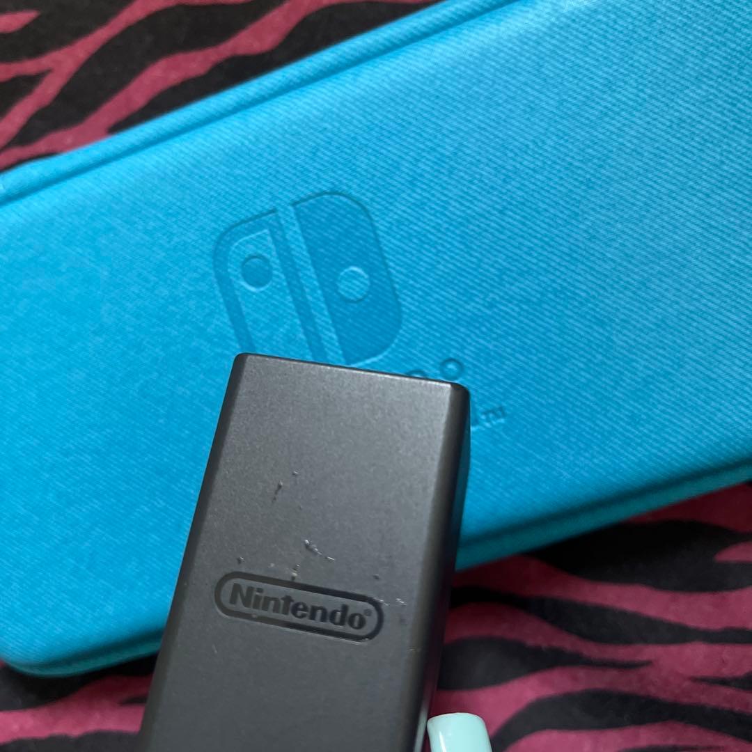 Switchライト グレー 純正充電器 ケース どうぶつの森付き 箱無し