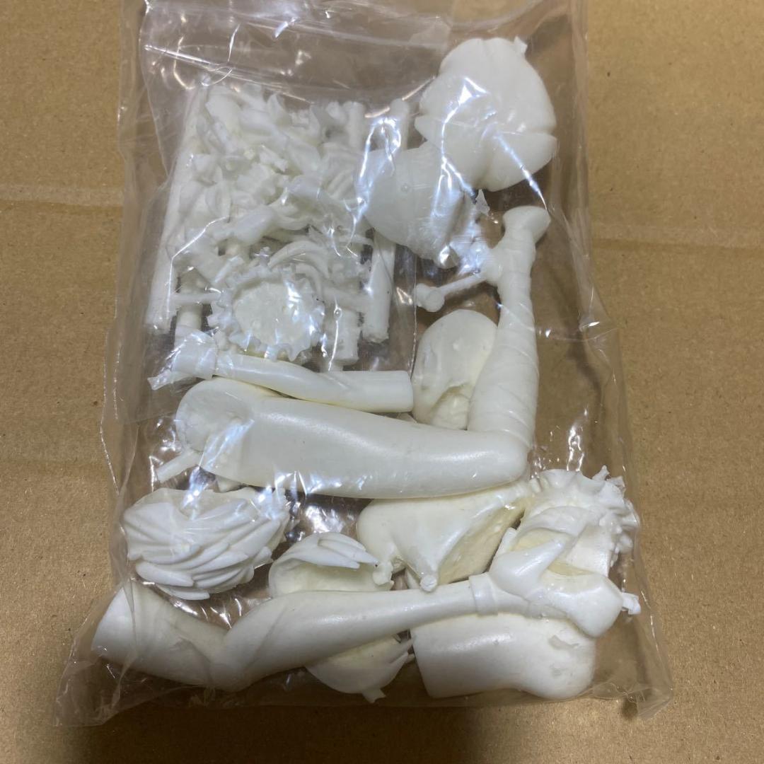 艦これ プリンツ&ビスマルク ガレージキット 苺MilkTeaディッチカメレオン