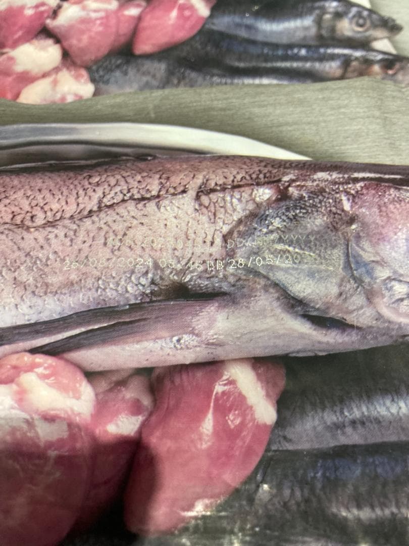 正規品 カナダ産 Orijin オリジン シニア 11.4kg まとめ可