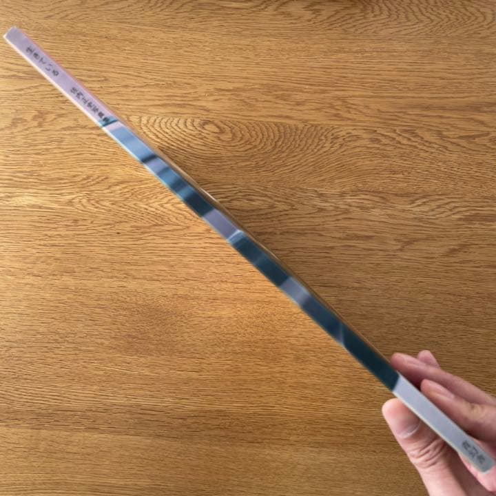 左内正史　生きている