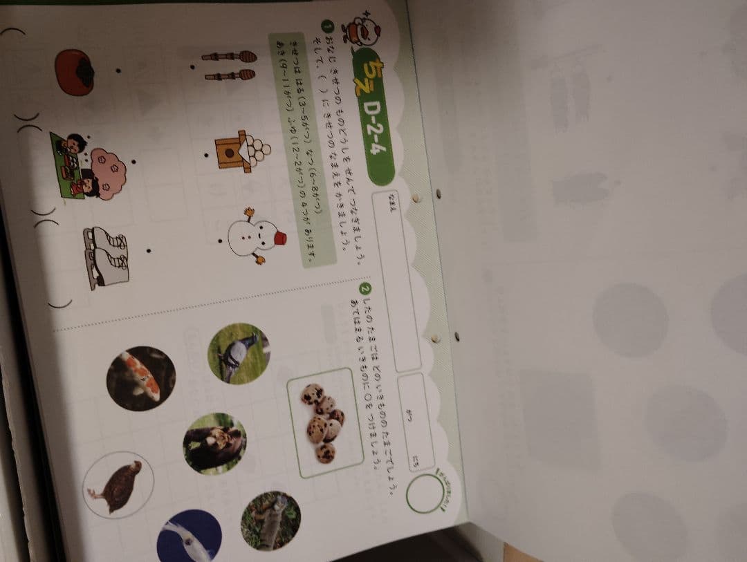 七田式 プリントD 知育教材 カードセット