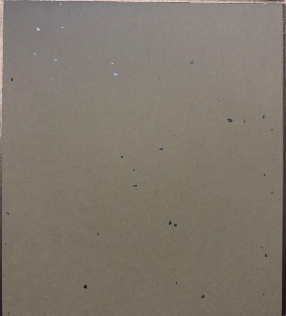 真夜中ハートチューン 先行上映会 入場者特典 色紙