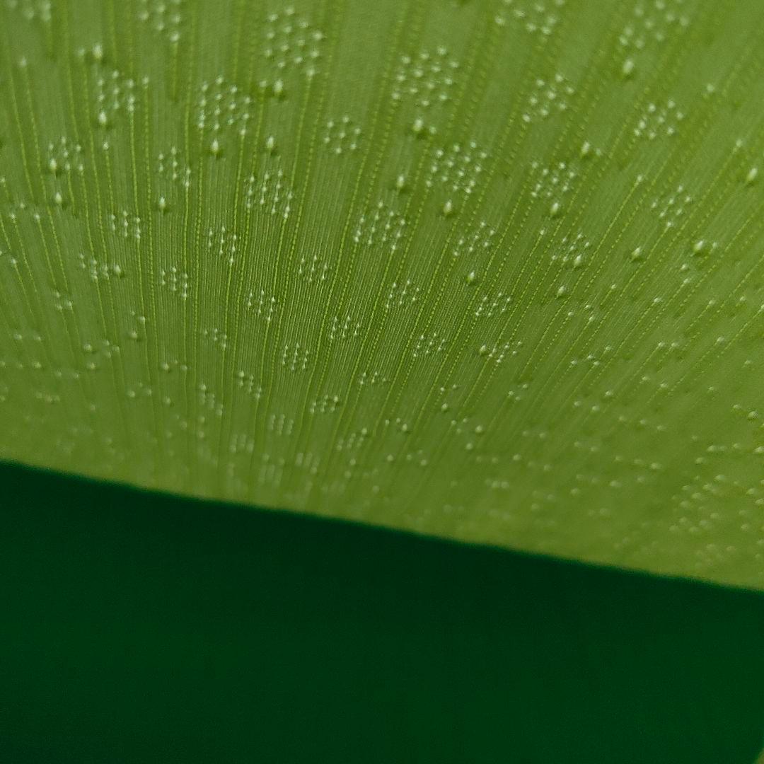 ナイキコート　NIKECOURT　 スラム ポロシャツ　テニスウェア　小田凱人