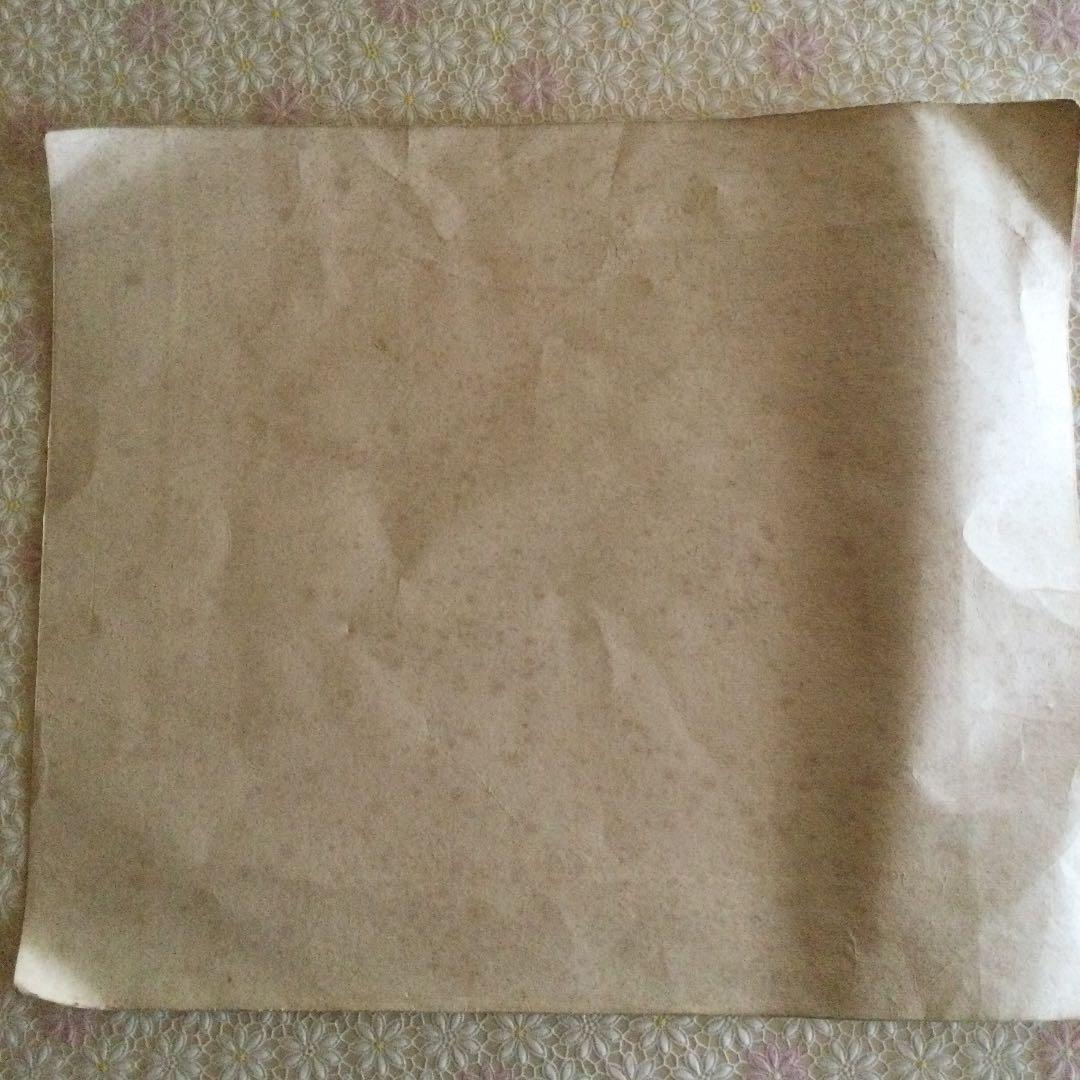 昭和　レトロ　椿　メジロ？