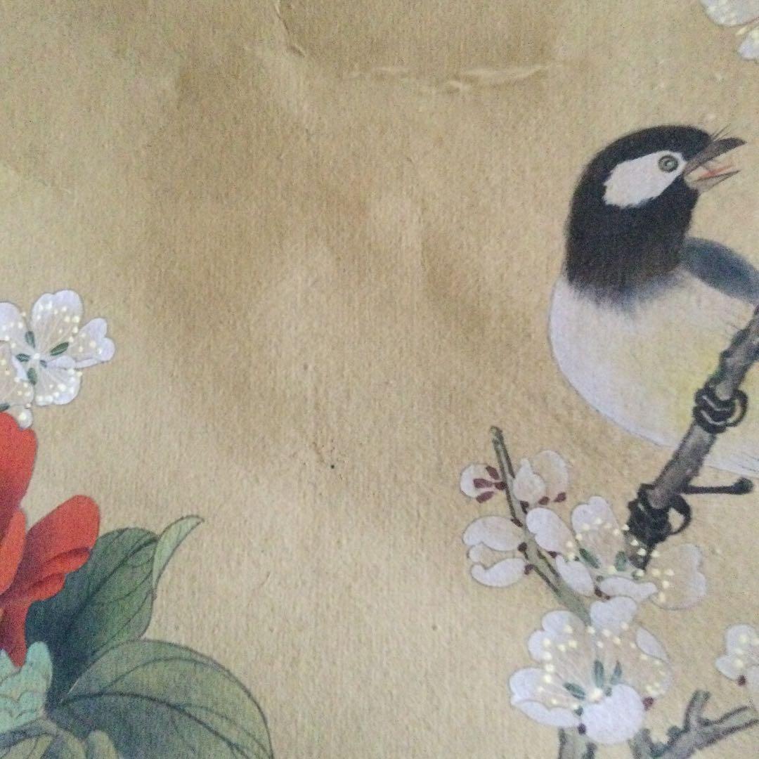 昭和　レトロ　椿　メジロ？