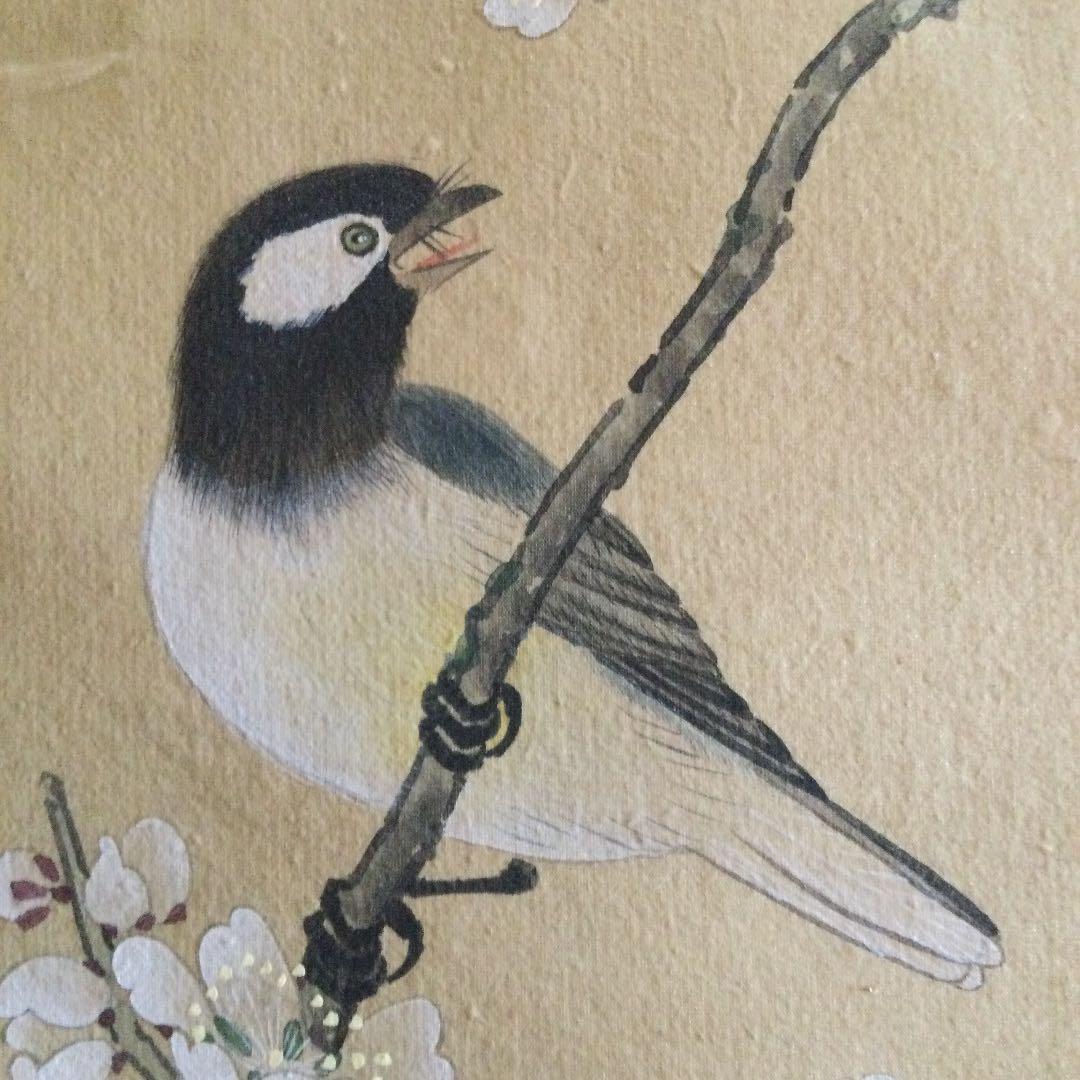 昭和　レトロ　椿　メジロ？