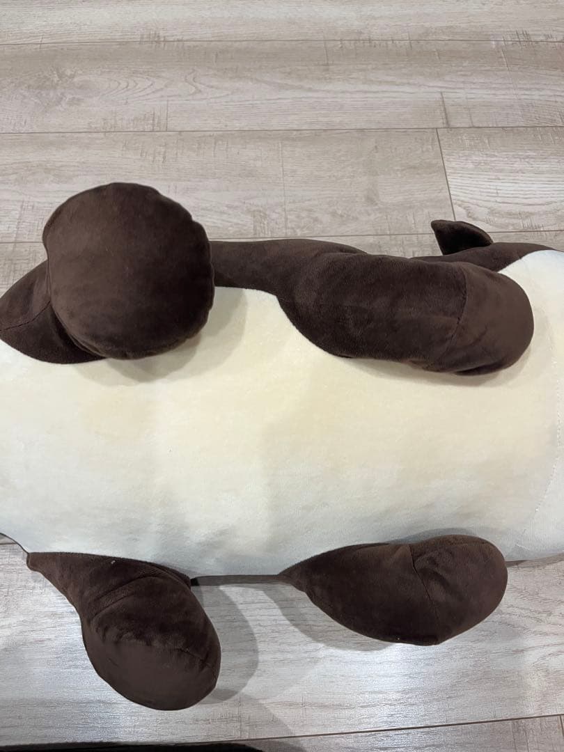 名古屋港水族館　南知多ビーチランド　スピードくじ　特賞　激レア