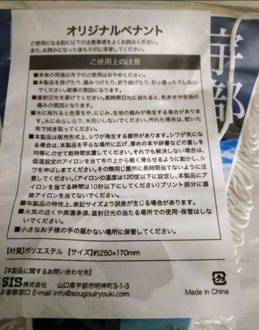 まちじゅうエヴァンゲリオン 渚カヲル 碇シンジ オリジナルペイント アクキー