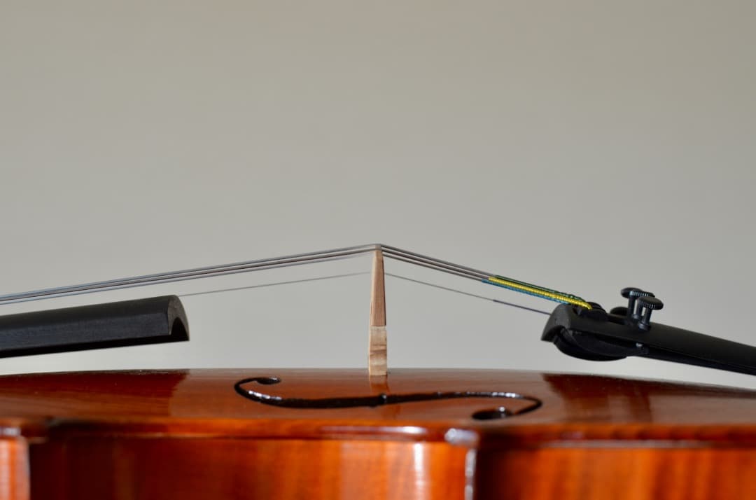 【ほぼ新品】Gliga VASILE gama2 バイオリン 4/4 セット