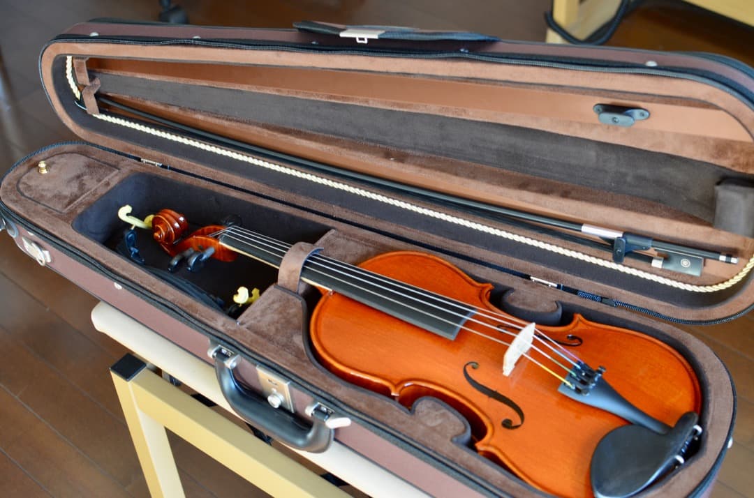 【ほぼ新品】Gliga VASILE gama2 バイオリン 4/4 セット