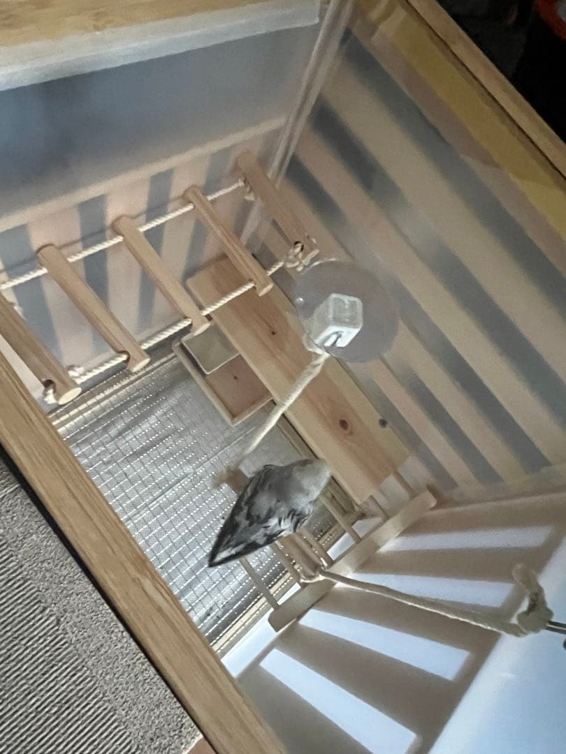 鳥かご　ハンドメイド