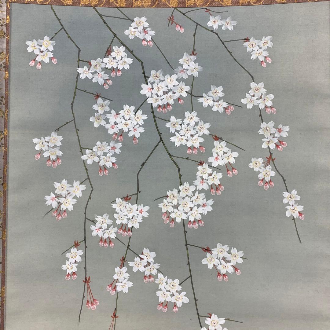 掛軸 夜桜 共箱 春 花 季節
