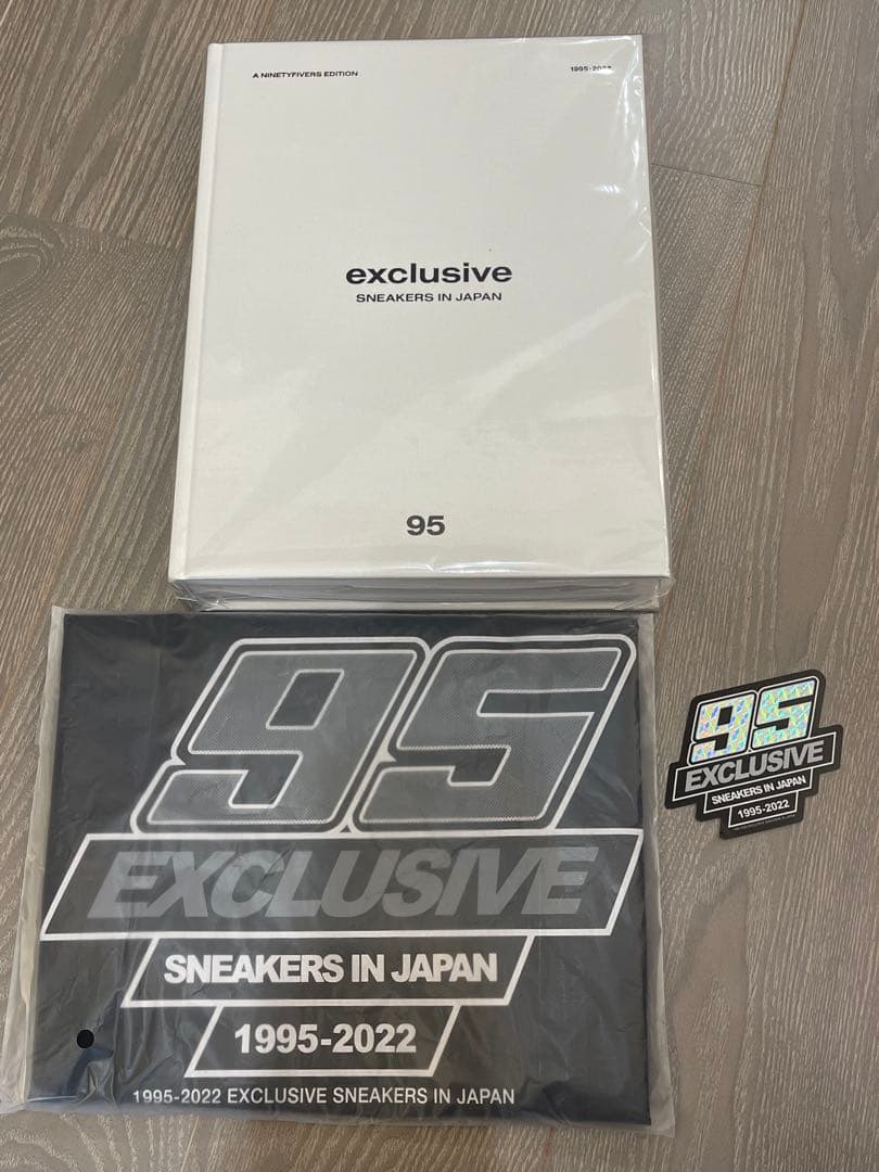 アート・デザイン・音楽 exclusive SNEAKERS IN JAPAN 95