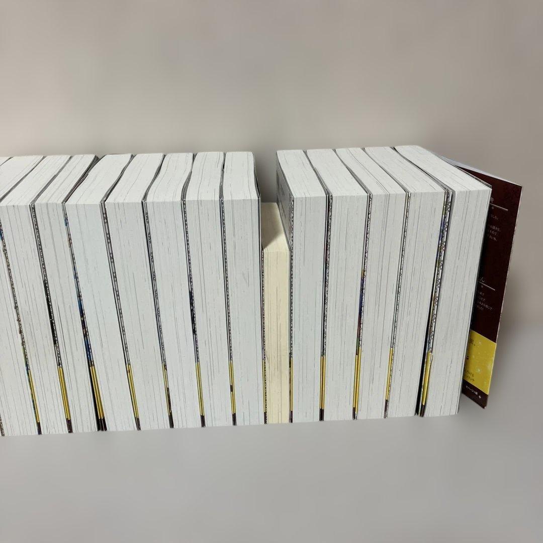 王太子妃になんてなりたくない!! 王太子妃編　全　21冊