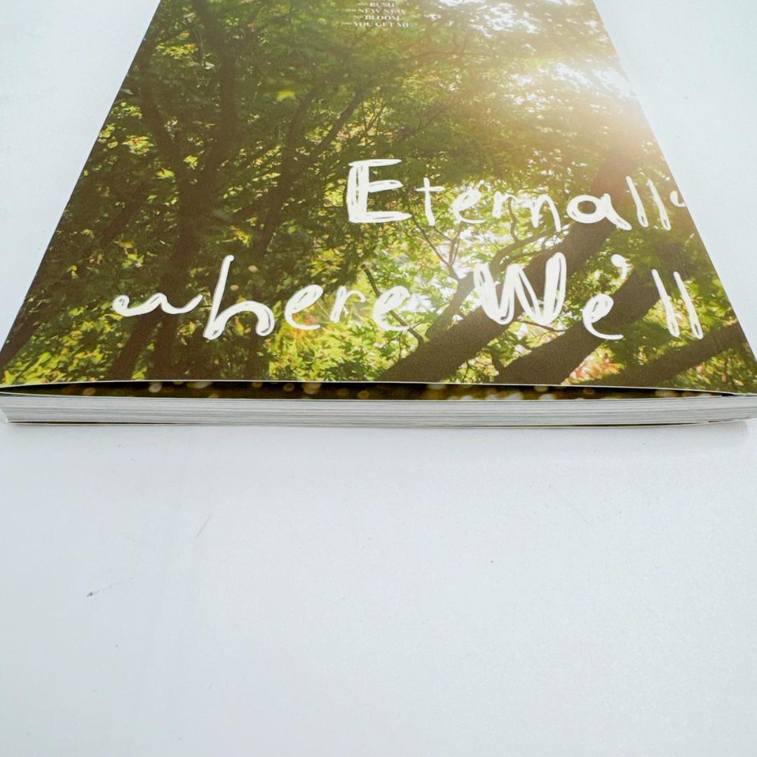 TWICE With YOU-th サイン入りアルバム サイン CD モモ