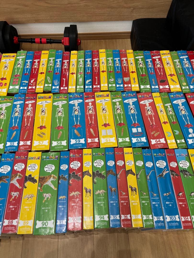 最終値下げ❗️アーサー　人体模型 セット 101個　バインダー14冊付きます