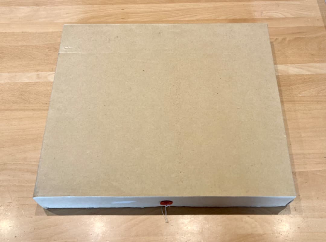 人気作家：笠井誠一の「夏みかん」キャンバスF3号