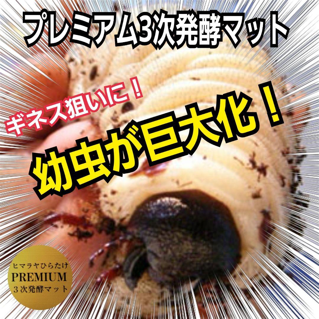 極上品！ヘラクレス181リミ羽化！プレミアム3次発酵カブトムシマット【100L】