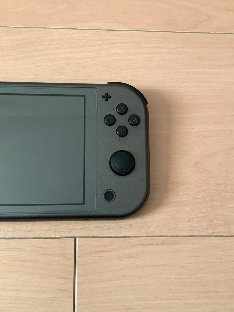 美品 Nintendo Switch Lite ディアルガ パルキア