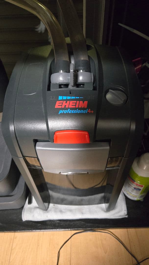 60cmハイタイプ　水槽セット　コイ。