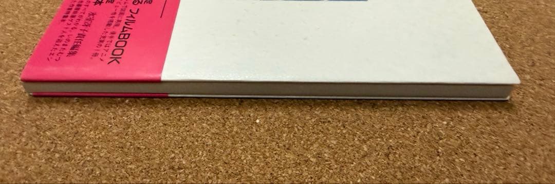 僕が好きなひとへ 氷室冴子 近藤勝也 海がきこえる 徳間書店　第一刷