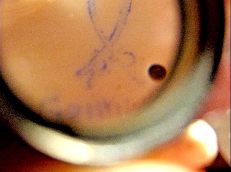 #3943【希少な置き物】アンティーク 初期 マイセン・ドレスデン 1725年製