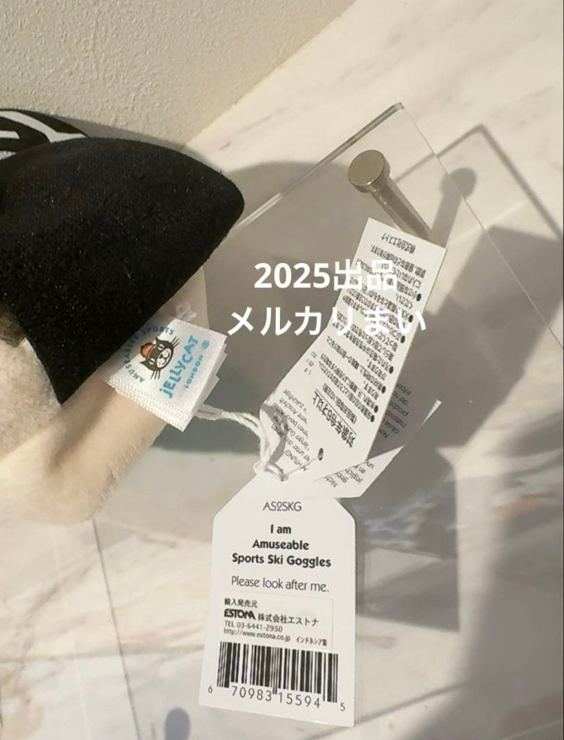  Amuseable Sports Ski Goggle スキー