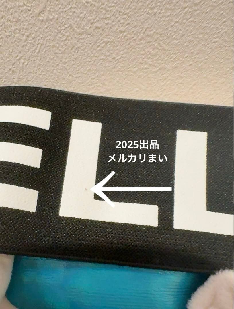  Amuseable Sports Ski Goggle スキー