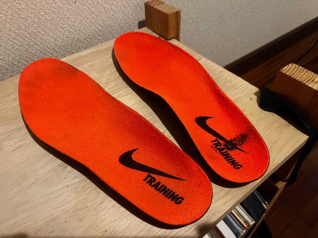 （廃盤）NIKE ロマレオス2 ROMALEOS 27.5cm