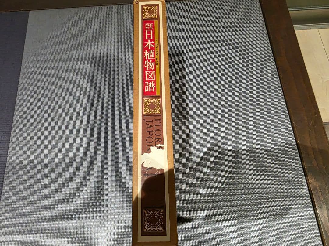 シーボルト著　原色精密 日本植物図譜