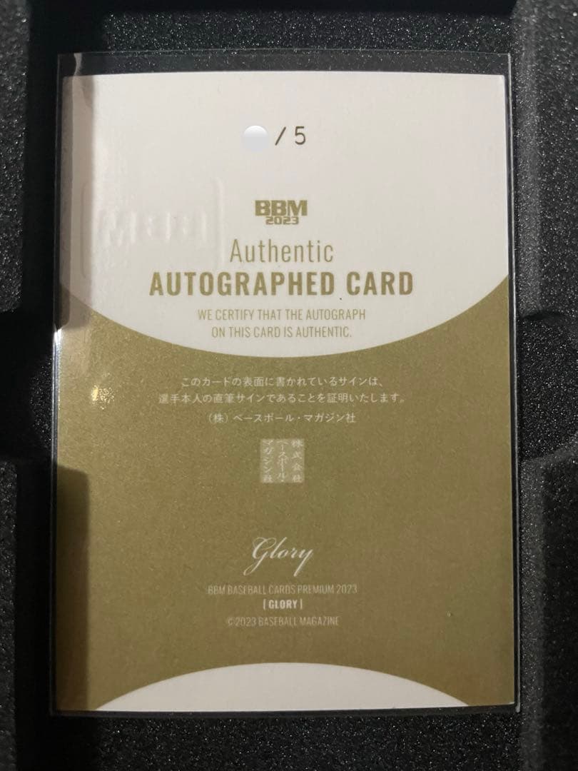 5枚限定　BBM 2023 glory 小園健太　直筆サインカード
