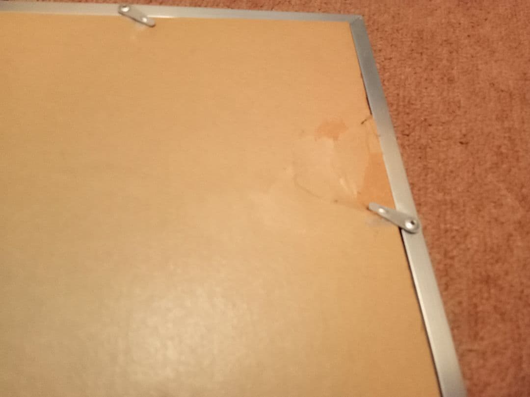 田中秀頴　秋桜子　パステル画