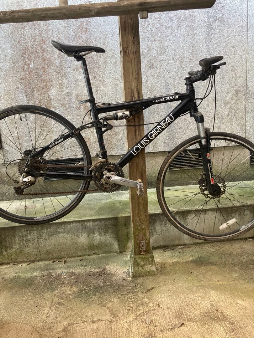 ルイガノ　DW2 430