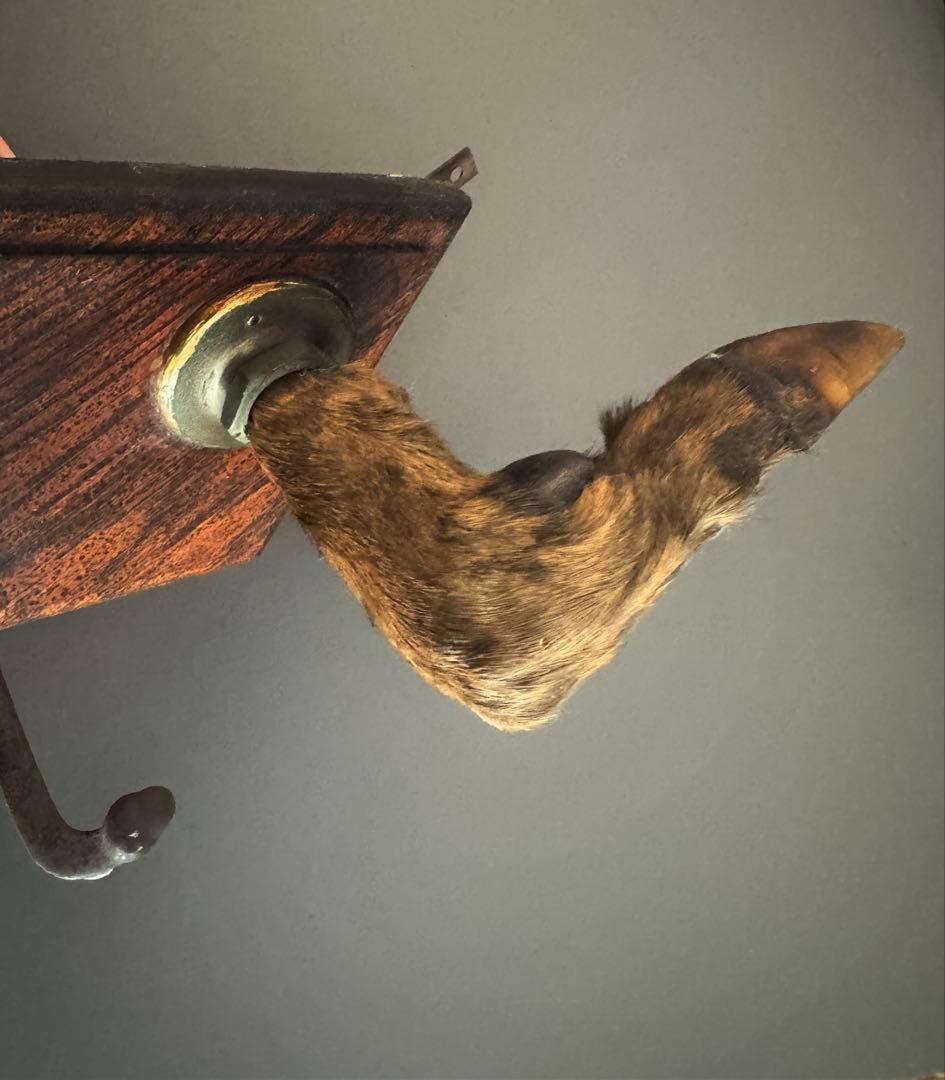 アンティーク★ 鹿足壁掛け　ウォールハンガー　undercover