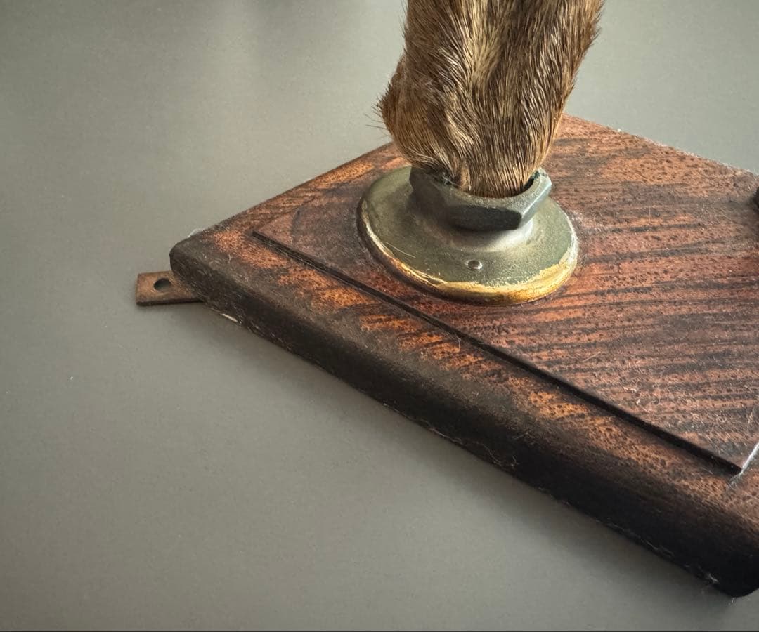 アンティーク★ 鹿足壁掛け　ウォールハンガー　undercover