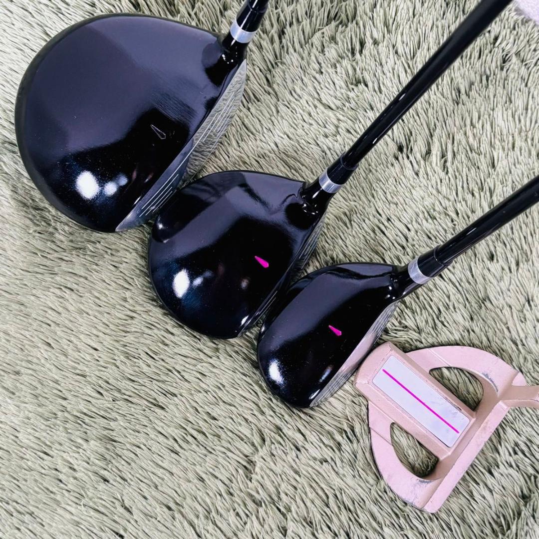 ワールドイーグル FL-01☆V2 10本セット レディースゴルフ 初心者 入門